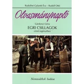 Olvasmány-, és olvasónaplók