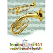 Tenorkürt