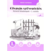 Olvasás-szövegértés  felmérő feladatlapok 1. osztály (PD-459)