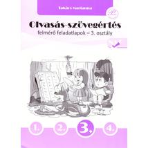 Olvasás-szövegértés  felmérő feladatlapok 3. osztály (PD-461)