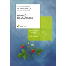 Felmérő feladatsorok-Matematika 2. osztály (MK-4304-6)
