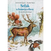 Séták a természetben - Az erdők élővilága (MK-0092)
