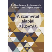 A számvitel alapjai példatár
