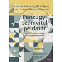 Pénzügyi-számviteli példatár
