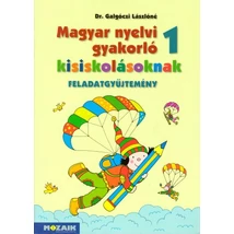 Magyar nyelvi gyakorló kisiskolásoknak 1. feladatgyűjtemény (MS-2500U)