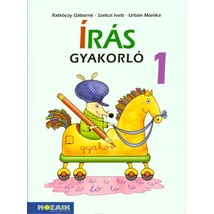 Írás gyakorló 1. (MS-1661U)