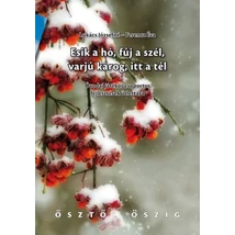 Esik a hó, fúj a szél, varjú károg, itt a tél