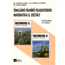 Témazáró felmérő feladatsorok Matematika 8. osztály  (CA-0810)