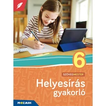 Helyesírás gyakorló 6. (MS-2576U)