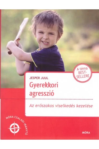 Gyerekkori agresszió