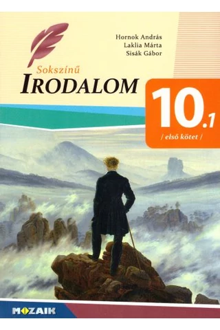 Sokszínű Irodalom 10.1  (MS-2355U)
