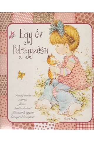 Egy év feljegyzései