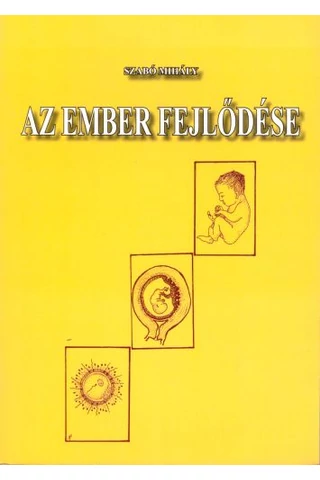Az ember fejlõdése 