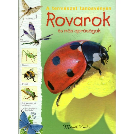 Rovarok és más apróságok
