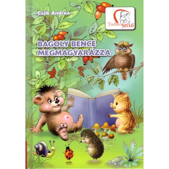 Bagoly Bence megmagyarázza