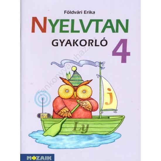 Nyelvtan gyakorló 4. (MS-1650)